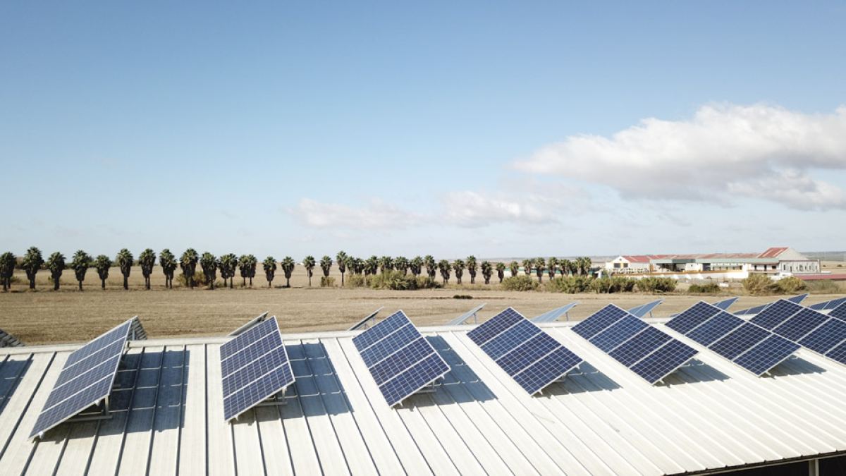 Solar fotovoltaica